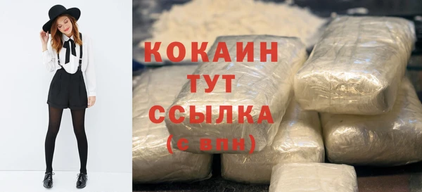 винт Сатка