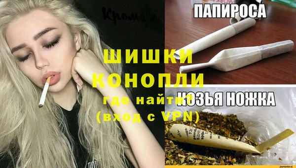 мдпв Богданович