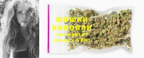 сатива Балахна