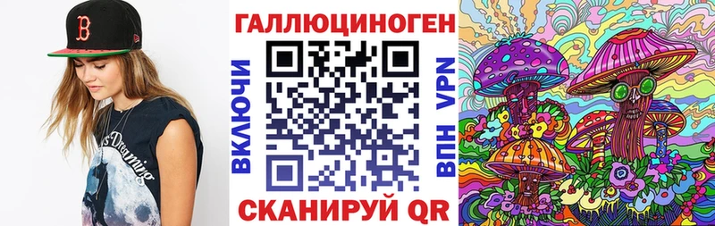 hydra ссылка  Борзя  Галлюциногенные грибы мицелий 