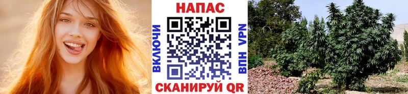 Марихуана семена  маркетплейс официальный сайт  Борзя  купить наркотик 
